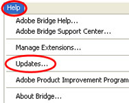 updating settings in adobe bridge cs5